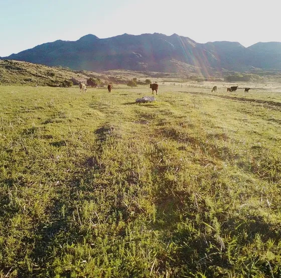 ¡oportunidad Única De Inversión! 146 Ha Con Casa En Lomada