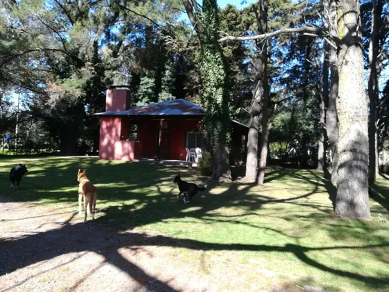 Cabañas Entre Ombues Y Tilos - Tu Lugar En Sierras Tandil
