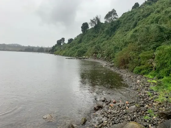 Terreno En Venta En Frutillar