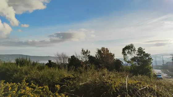 Se Venden Dos Sitios En Ancud