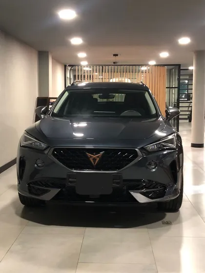 Cupra Formentor 2.0 Tsi Metalizado Dsg