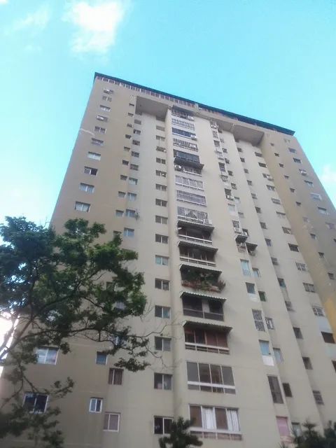 Venta De Penhouse En Los Ruices, Calle La Arboleda Con Maria Auxiliadora