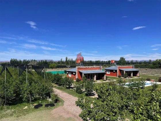 Finca En Cuadro Benegas