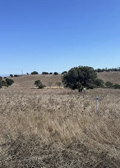 Terrenos En Venta