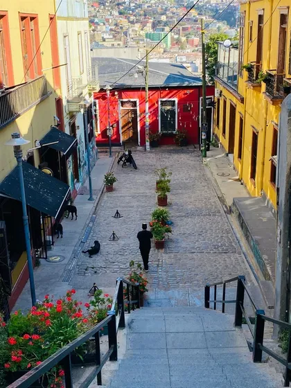Casa En Venta De 5 Dorm. En Valparaíso