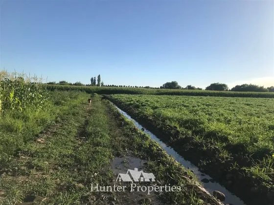 Agrícola En Venta En Talca