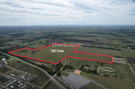 Campo En Venta En Exaltación De La Cruz