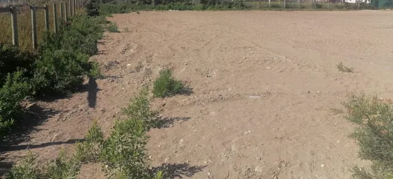 Se Arrienda Terreno De 5.000 Mts Sin Casa En La Serena