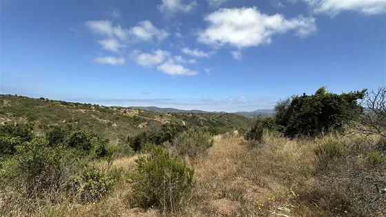 Encantadores Sitios En Zapallar Camino A Catapilco