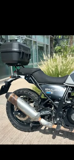Himalayan