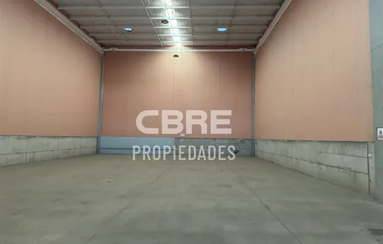 Bodega Excelente Estándar, El Montijo