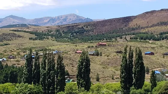 Aluminé, Neuquén, Venta Hermosa Cabaña En Ladera De Montaña