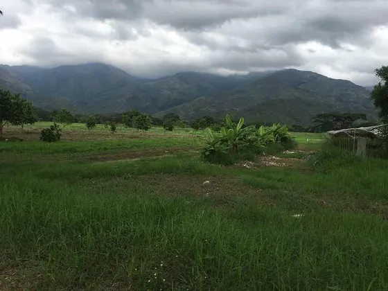 Terreno En Venta La Cumaca 500h Edo. Carabobo (lz)