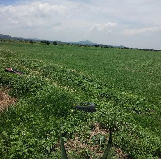 Terreno En  Las Pintas, Temascalapa, Edo. Méx. Sup. 66,000 M2