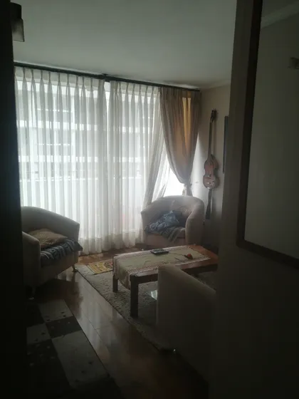 Arriendo Pieza Amoblada A Pasos Del Metro Santa Lucía