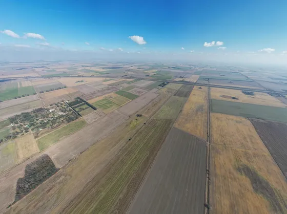 Campo En Venta 36 Hectáreas Clase 1  Oliveros, Sta Fe