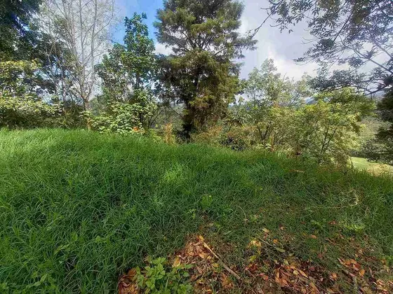 Lote En Venta En La Francia/manizales  (279059501).