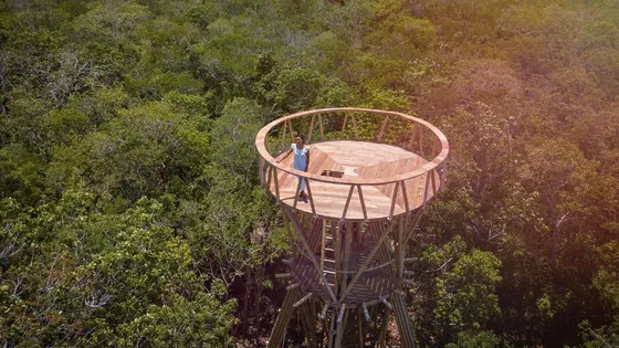 Terrenos En Venta Dentro De Selva Zama En Tulum, 219 M2, Vive En Selvazama