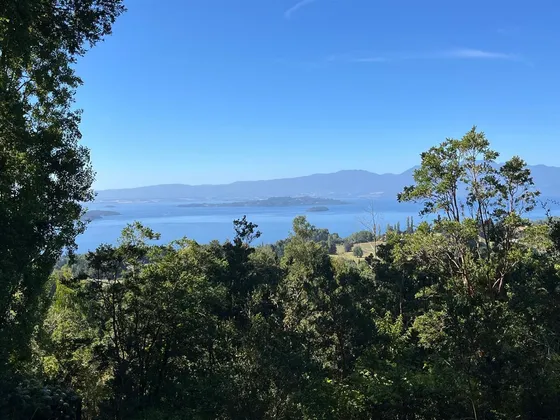 Sitio En Venta En Lago Ranco
