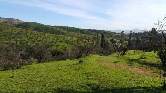 Los Maitenes, Peñablanca, Villa Alemana