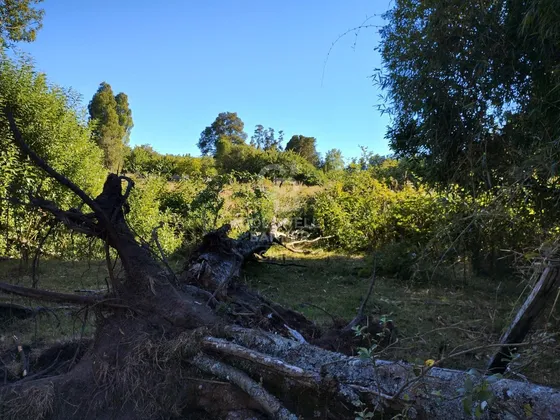 Parcela Colonia La Radio Frutillar