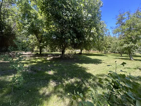 Parcela En Venta En Condominio Loreto Camino Buin Maipo