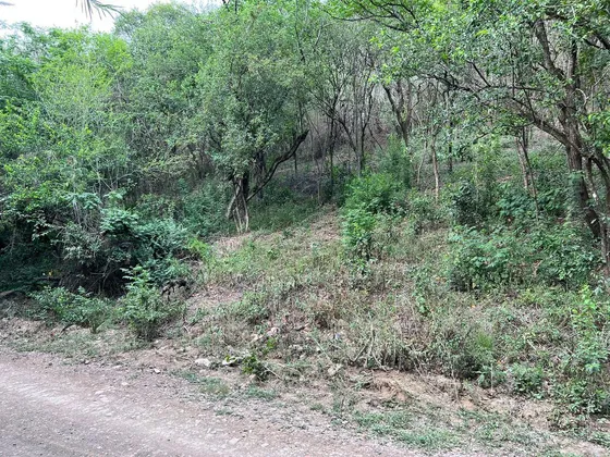 Santa Rosalia