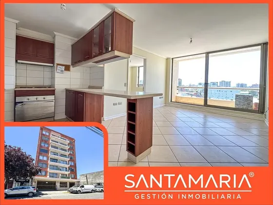 Arriendo Departamento 1 Dormitorio En Colo Colo, Concepción