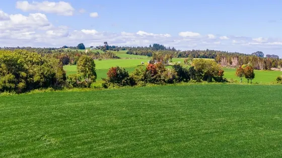 Agrícola En Venta En Fresia
