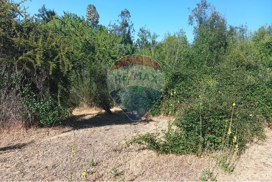 Oportunidad, Rebajado ! 5.000m2 Codigua. Melipilla