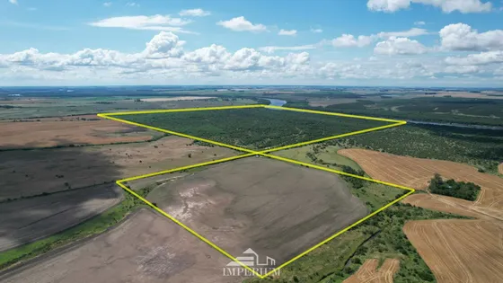 Venta Campo En Soriano 264 Ha