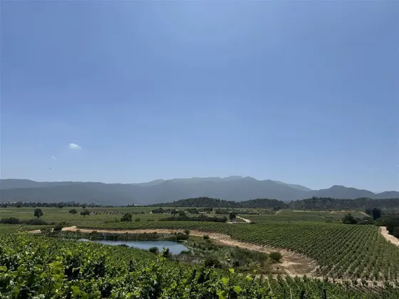 Agrícola En Venta En Casablanca