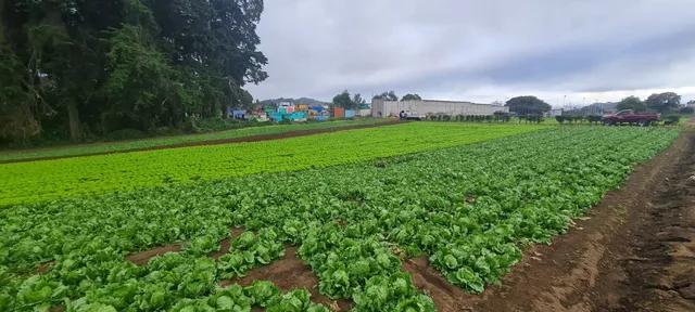 Vendo Para Inversión Cerca De Parqueo Ecológico Florencia