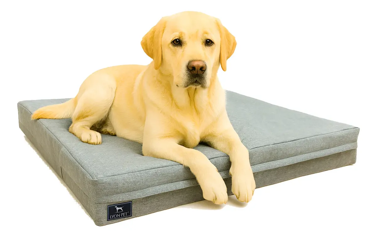 Colchón Impermeable con Funda Lyon Pet Razas Grandes