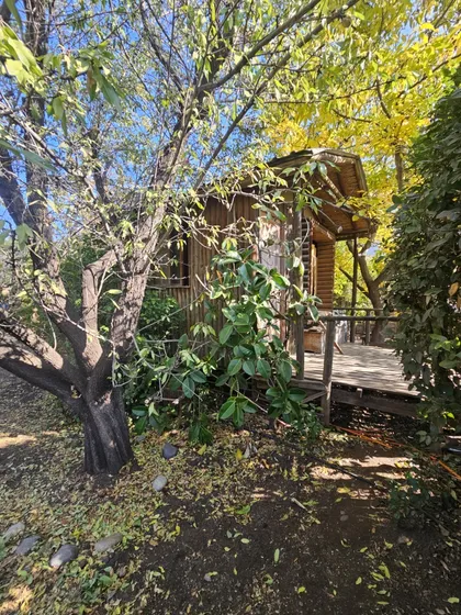 Terreno Comercial Con Cabaña Solo Efectivo Conversable.