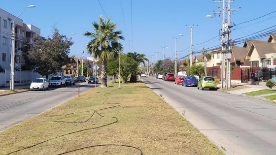 Excelente Ubicacion  (97850)
