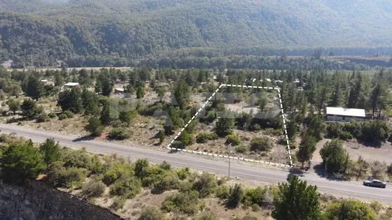 Terreno De 5000 M2 En Armerillo Parque Nacional Tricahue