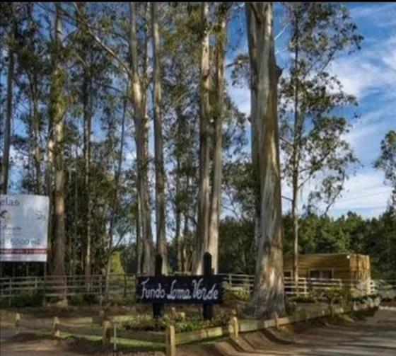 Parcela En Venta En Algarrobo