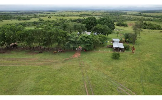 Se Vende Finca  994 Héctareas En El Pororio , Puerto Concordia Meta