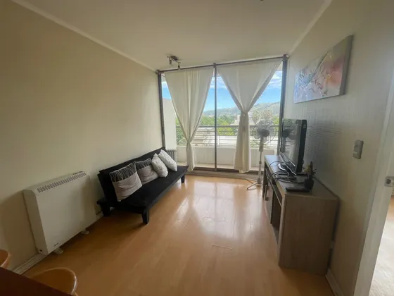 Arriendo Departamento Amoblado