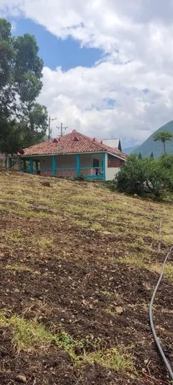 Finca De 1.650m2 En Venta Aují El Cerrito Valle Del Cauca Colombia