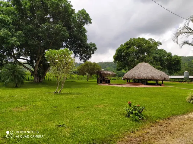 Granja Avícola , Zona Sur De Valencia 