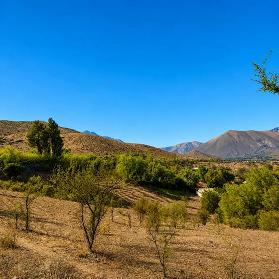 Sitio En Venta | Huancara, Vicuña
