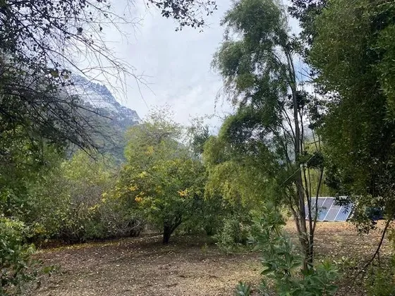 Campo De 4.804 Has. En Romeral, Aguas Inscritas Por 140 Lt