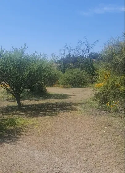 Curacavi, Venta Parcela Hacienda San Jose 65 Lr