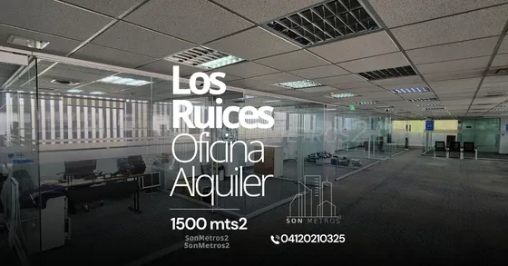 Oficina Alquiler Los Ruices 1500 Mts2 Sonmetros2