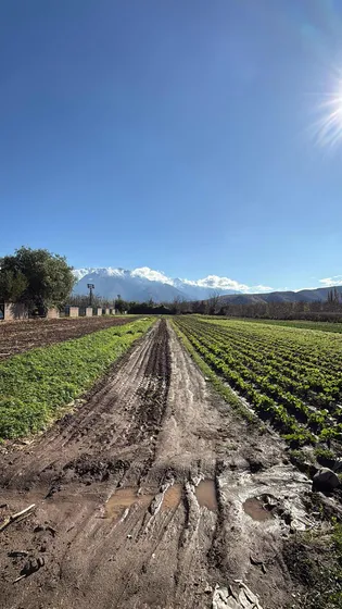 Venta De Terreno Callejon Los Naranjos Sector Encon