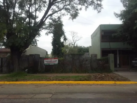 Lote De 13 X 43