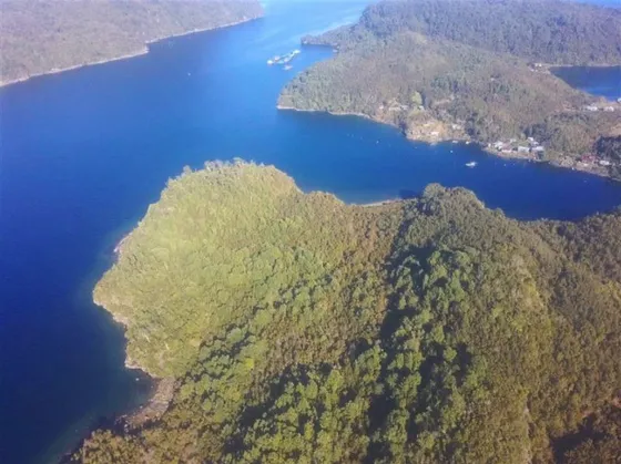 Agrícola En Venta En Hualaihue