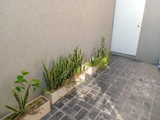 Alquiler Departamento En Lanús Este 2 Ambientes